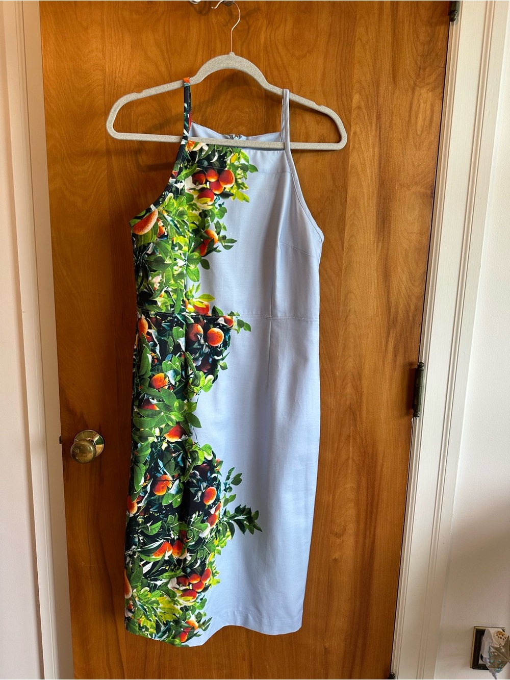 Maeve by Anthropologie Light Blue  Dress with Orange & Green Citrus Print
